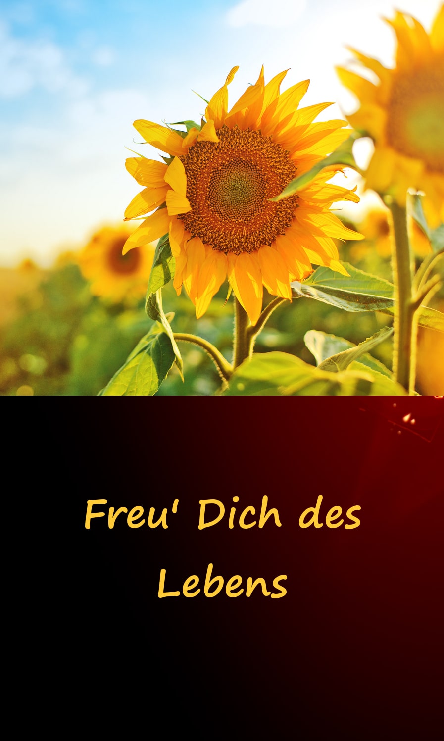 Das DualseelenOrakel DualseelenLiebe.de